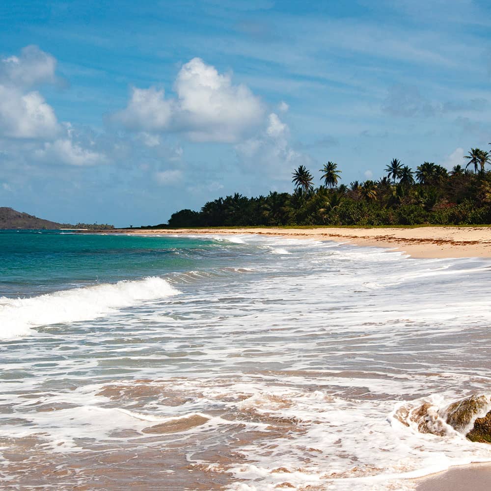 Picture of a Caribbean beach