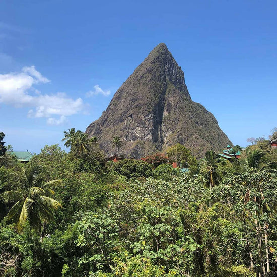 Picture of the Pitons in St Lucia