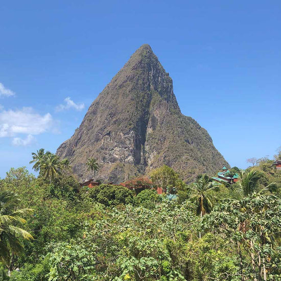 Image of Piton in St Lucia