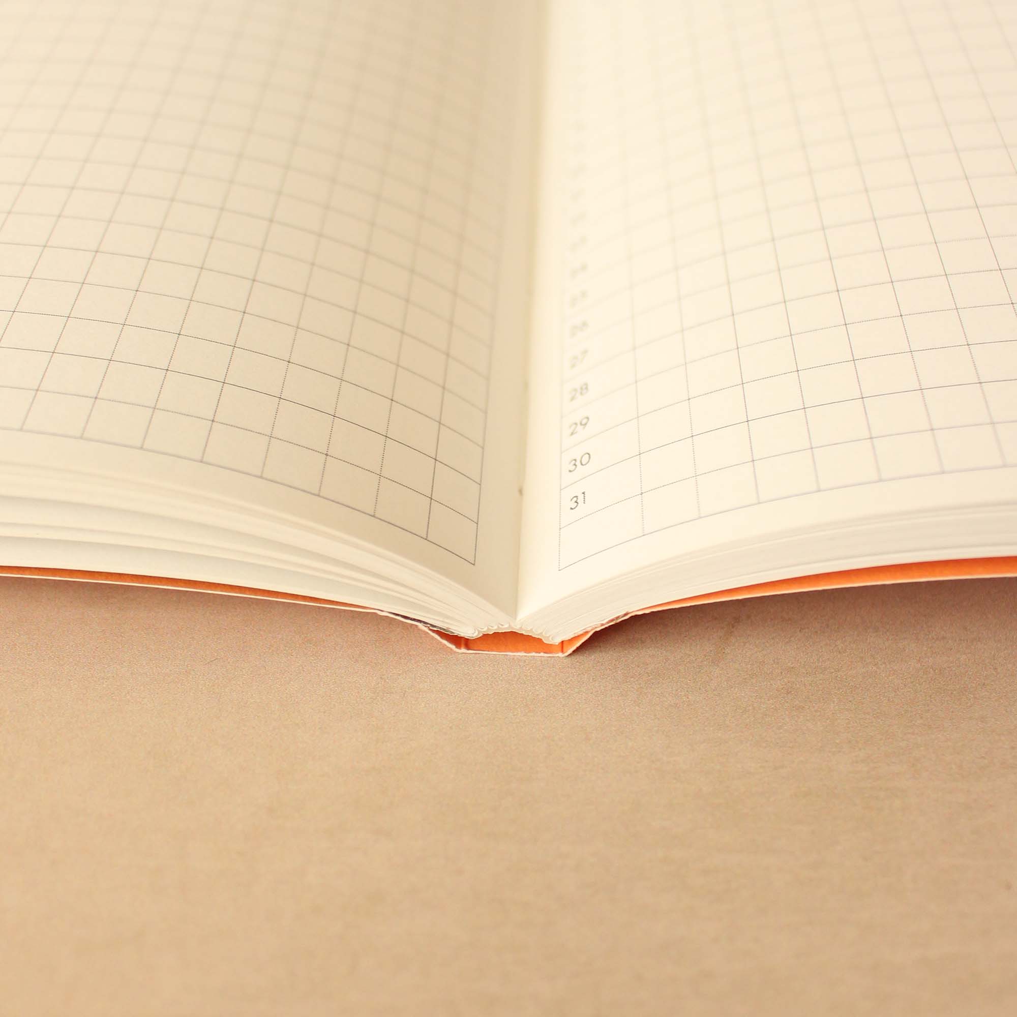 Daily Notes Notebook Setup Daily Notes Planner Book – Tihara Smith